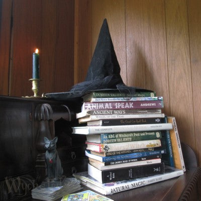 THE WITCHES LIBRARY